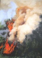 Burning the Whins Series