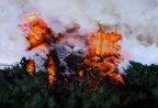 Burning Whins 02